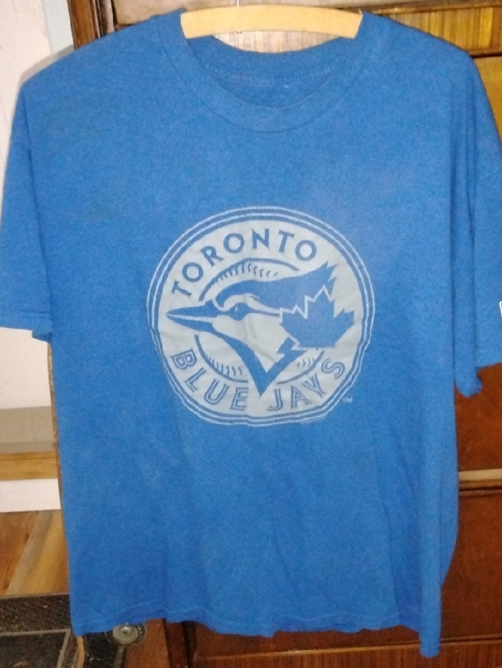 Toronto Blue Jays Men's Short Sleeve Blue Graphic Tee